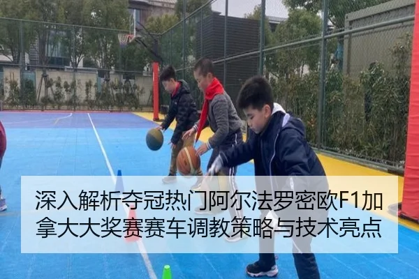 深入解析夺冠热门阿尔法罗密欧F1加拿大大奖赛赛车调教策略与技术亮点 - XINGKONG SPORTS
